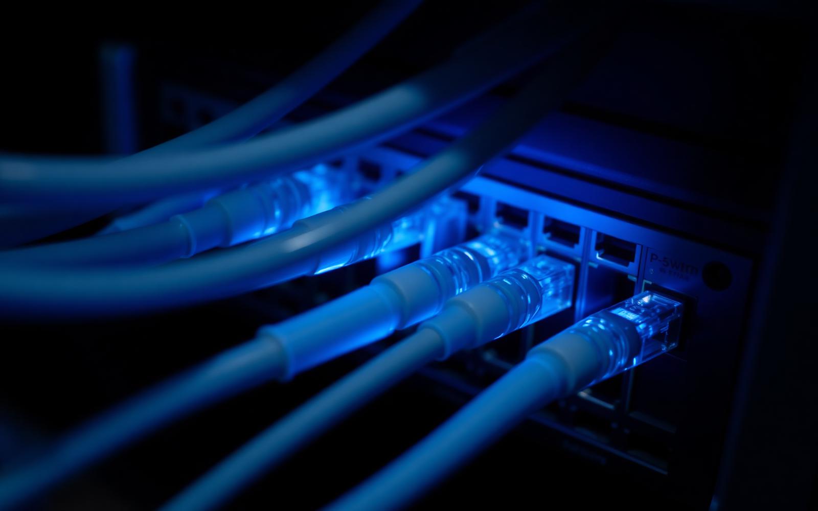 Close-up of network cables connected to switch ports under blue light